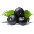Tropical Fruit